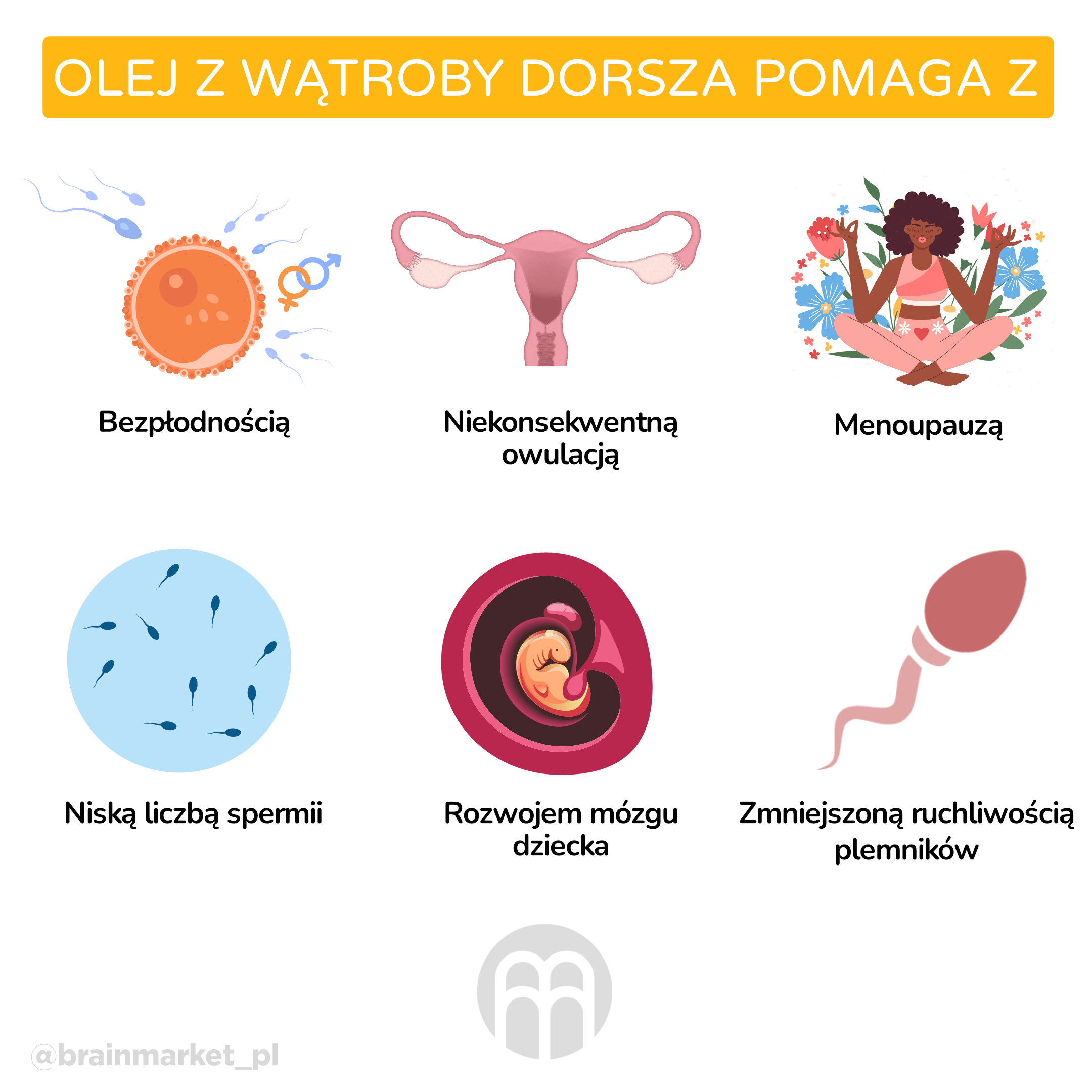 olej z trescich jater_infografika_pl